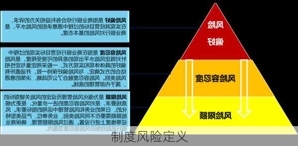 制度风险定义