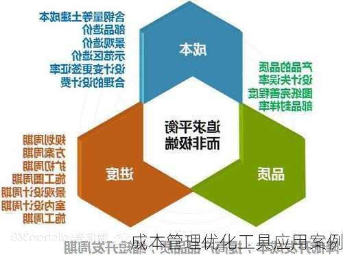 成本管理优化工具应用案例