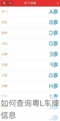 如何查询粤L车牌信息