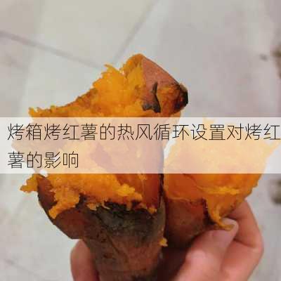 烤箱烤红薯的热风循环设置对烤红薯的影响