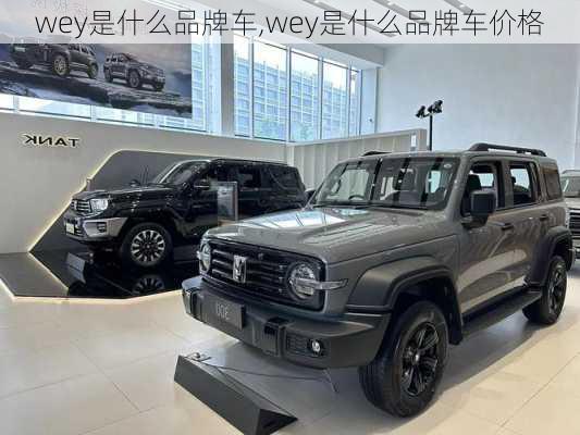 wey是什么品牌车,wey是什么品牌车价格