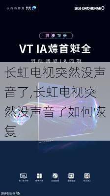 长虹电视突然没声音了,长虹电视突然没声音了如何恢复