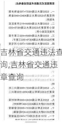 吉林省交通违法查询,吉林省交通违章查询