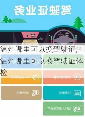 温州哪里可以换驾驶证,温州哪里可以换驾驶证体检