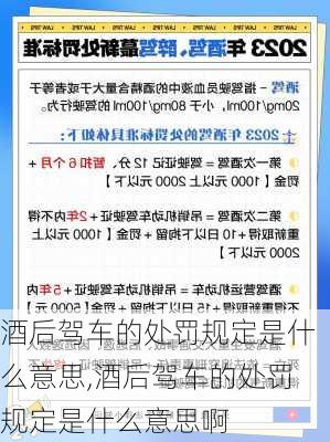 酒后驾车的处罚规定是什么意思,酒后驾车的处罚规定是什么意思啊