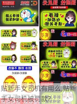 贴新手女司机有用么,贴新手女司机被罚款?